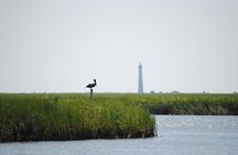 Charleston Marsh Eco Boat Cruise
