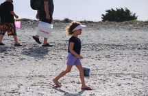 Charleston Marsh Eco Boat Cruise