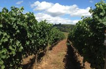 Willamette Valley Wine Tasting Tour from Portland