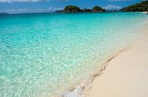 Book Your Private Two and a Half Hour Island Tour today!