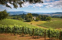 Willamette Valley Wine Tasting Tour from Portland