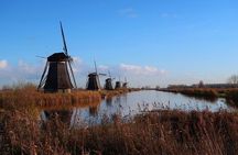 Kinderdijk private tour WINDMILLS in luxury Jaguar S Type