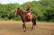 Horseback Riding at Diamante Eco Adventure Park