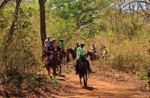 Horseback Riding at Diamante Eco Adventure Park