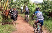 Lake Victoria Island Cycling Tour from Kampala