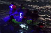 Aruba 1-Tank guided UV Night Dive for certified divers with rental equipment