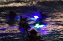 Aruba 1-Tank guided UV Night Dive for certified divers with own equipment