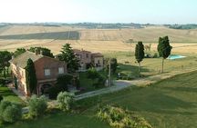 Pasta and Pizza cooking class in Cortona