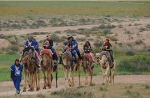 Camel riding in marrakech