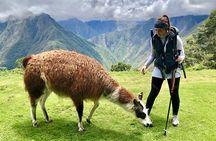 Classic Inca Trail To Machu Picchu 4 Days And 3 Nights 