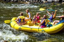 Half-Day Upper Colorado River Float Tour from Kremmling