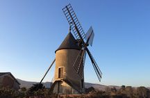 Beaujolais Crus Wines & Castles (2:00 pm - 6:30 pm) - Small Group Tour from Lyon