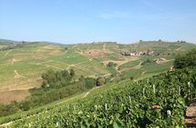 Beaujolais Crus Wines & Castles (9:00 am - 1:30 pm) - Small Group Tour from Lyon