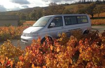 Beaujolais Crus Wines & Castles (2:00 pm - 6:30 pm) - Small Group Tour from Lyon