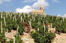 Beaujolais Crus Wines & Castles (2:00 pm - 6:30 pm) - Small Group Tour from Lyon