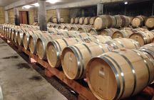 The Original Syrah Wine Tour (2:00 pm - 6:30 pm) - Small Group Tour from Lyon