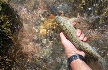 Fly Fishing on Private Andean River Including Barbecue Lunch