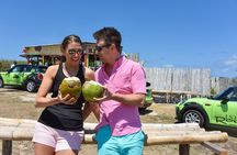 Self-Driven MINI Cooper Tour From Montego Bay To Negril