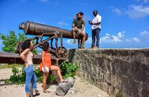 Half-Day Self Driven MINI Cooper Tour from Montego Bay
