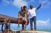 Half-Day Self Driven MINI Cooper Tour from Montego Bay
