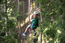 Small-Group Zipline Adventure in Queenstown