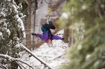 Small-Group Zipline Adventure in Queenstown