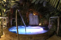 La Fortuna: Mineral Hot Springs Full Day Ticket