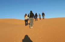 Marrakech to Fez group budget 3-Day desert tour with camel trek