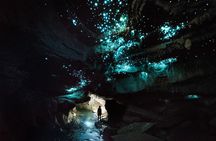 Private Waitomo Glowworm Cave Tours