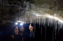3-Hour Private Photography Tour in Waitomo Caves