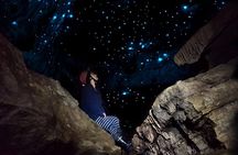 Waitomo - Eco Adventure Glowworm Cave Tour - Off the Beaten Track