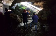 Private Waitomo Glowworm Cave Tours