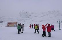 5-Day Harbin Private Tour Combo Package of Winter Highlights with Meal Options