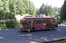 Portland Hop-On Hop-Off Pink Trolley Tour with Gray Line - 1 or 2 Day Pass