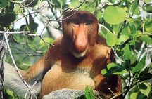 Bako National Park
