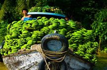 Mekong Delta 1 Day Tour