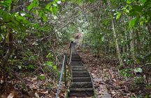 Gunung Gading National Park Tour