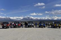 Denali Highway Jeep Excursion