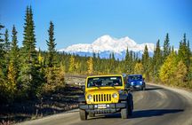 Denali Highway Jeep Excursion