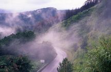 Doi Tung & Royal Villa Guided Cultural Tour