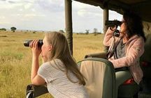 4 days Safaris lake Manyara , Serengeti & Ngorongoro National Parks, Tanzania
