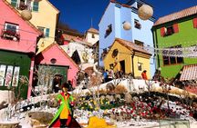 Nami Island& Petite France& Garden of Morning Calm& Italian Village One-Day Tour