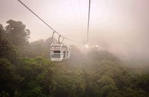 Monteverde Sky Tram & Hanging Bridges Cloud Forest Tour from San Jose