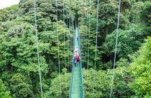 Monteverde Sky Tram & Hanging Bridges Cloud Forest Tour from San Jose