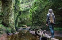 Find a hidden Glen in Scotland's woods