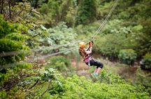 Toro Verde 7-Zipline Tour Plus the Monster with Transport