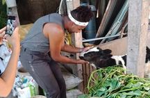 One day be Farmer and Master chef in Saigon