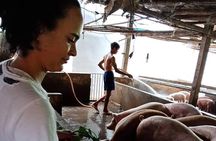 One day be Farmer and Master chef in Saigon
