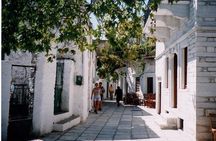 Naxos: Bus Tour Around the island