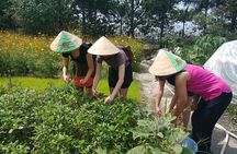 Farm-To-Table Healthy Cooking Class in Ho Chi Minh City